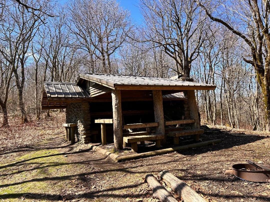Wild Turkey "The Perfect Getaway" Villa Пиджен Фордж Екстериор снимка
