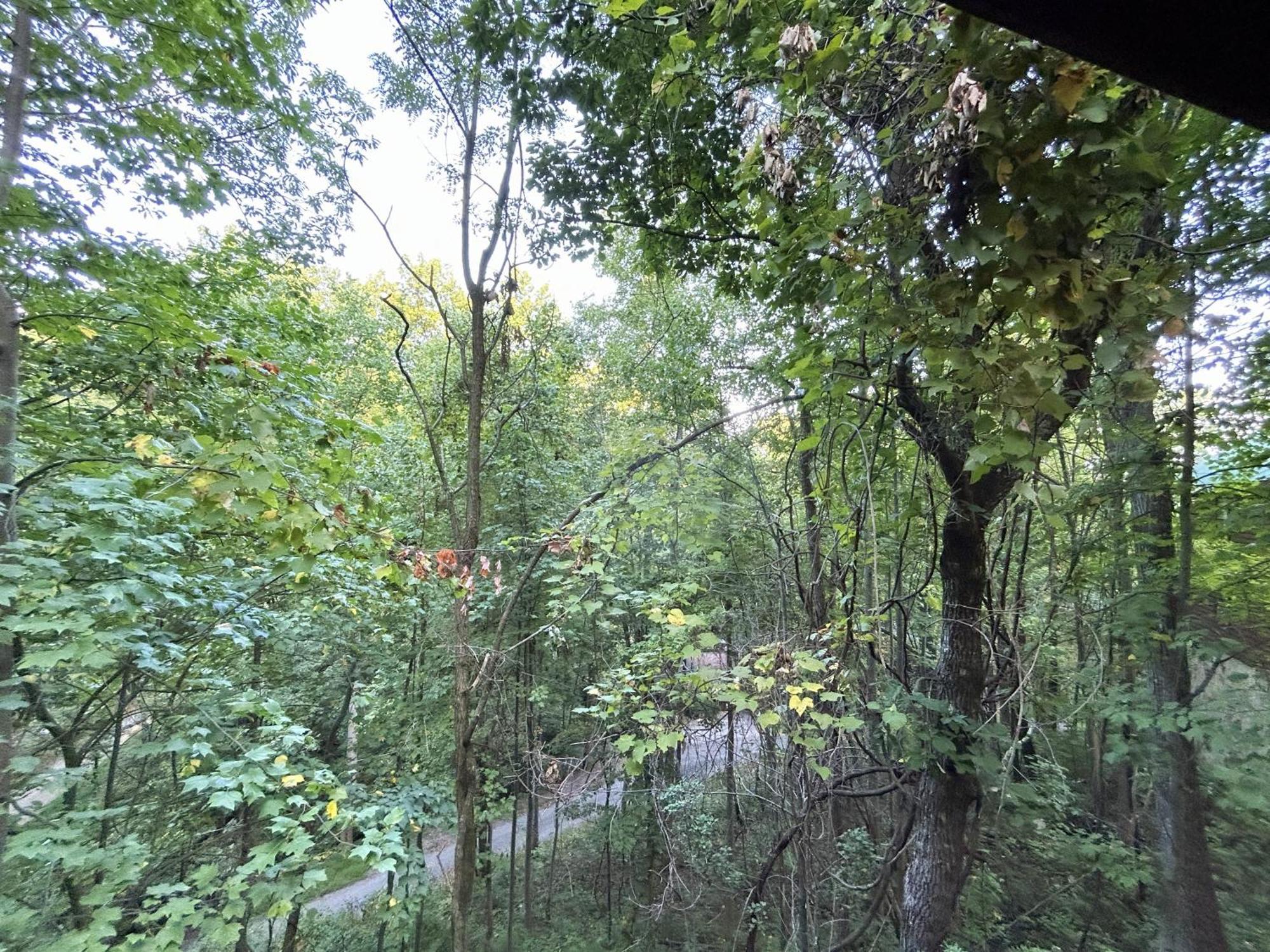 Wild Turkey "The Perfect Getaway" Villa Пиджен Фордж Екстериор снимка